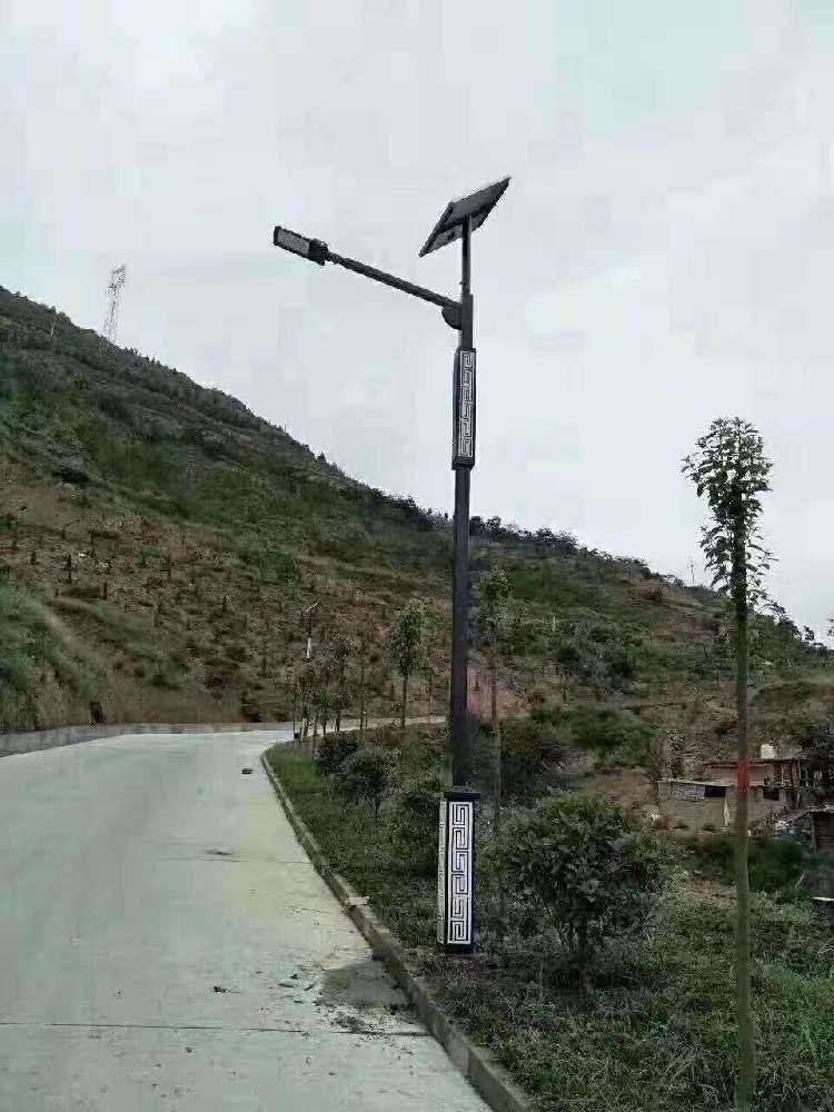 新津区仿古太阳能路灯